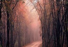 米兰体育:71岁伊万赌对了:5名“菜鸟”全部闪光+王钰栋破门 或大闹科威特.