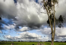 [棋牌]中国围棋棋王争霸赛决出四强.